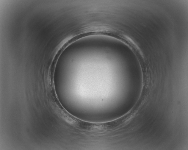 X0000081430883200701121259