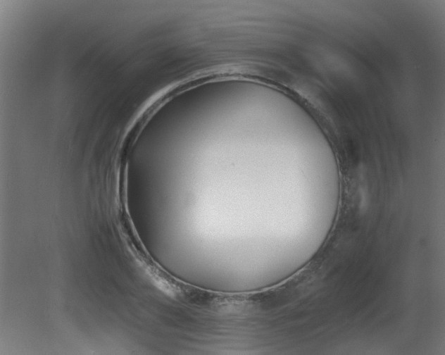 X0000081430886200701121259