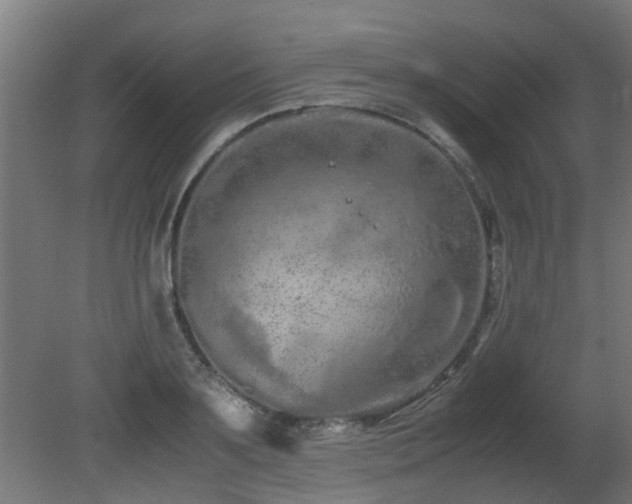 X0000081430891200701121259