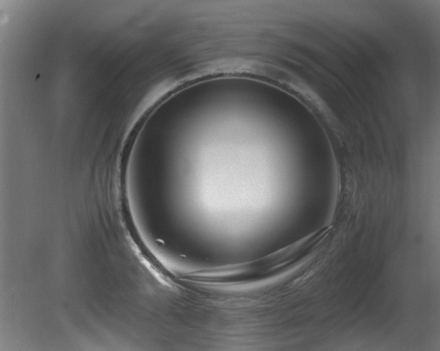 X0000081430894200701121259