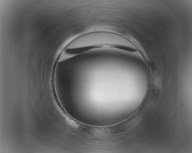 X0000081430901200701121259
