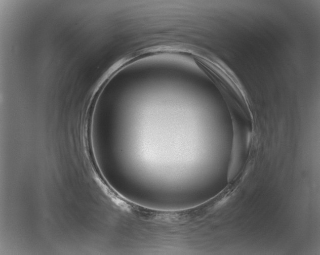 X0000081430909200701121259