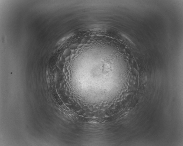 X0000081430917200701121258