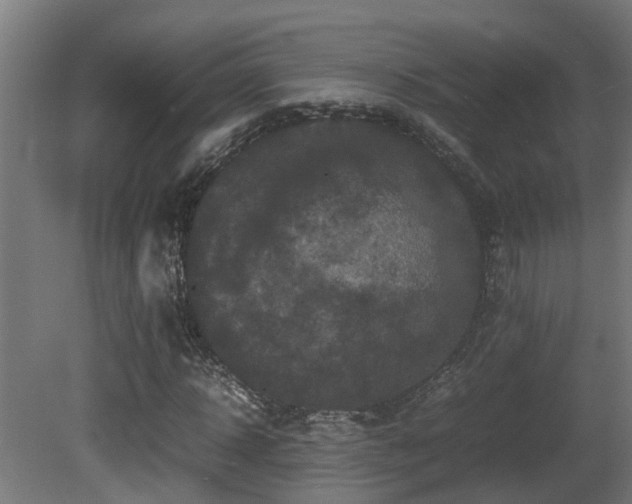 X0000081430918200701121258