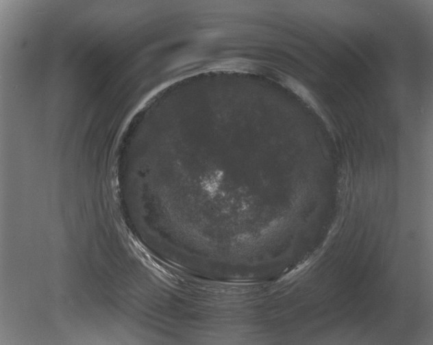 X0000081430923200701121258