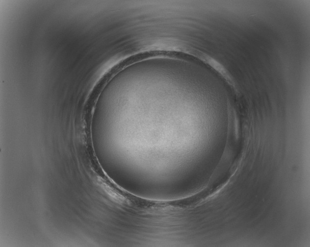 X0000081430926200701121258