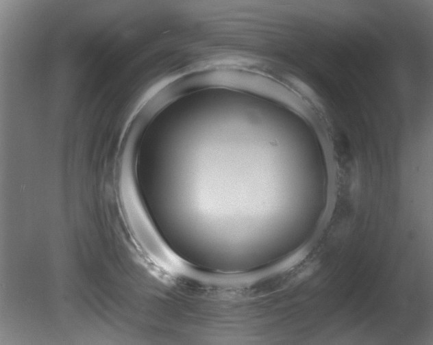 X0000081430948200701121258