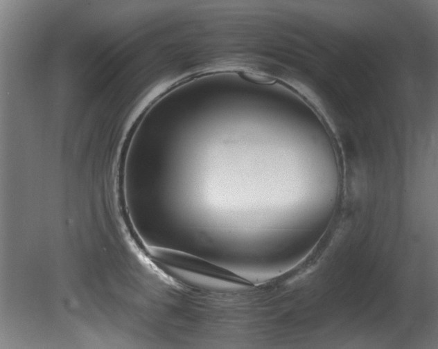 X0000081430949200701121258