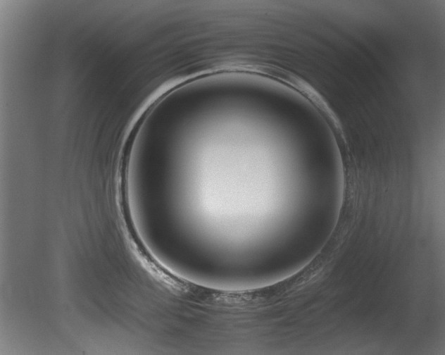 X0000081430955200701121258
