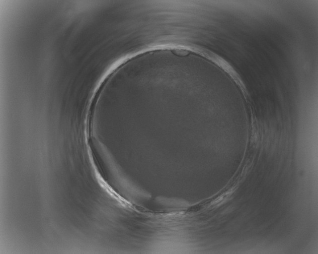 X0000081430958200701121258