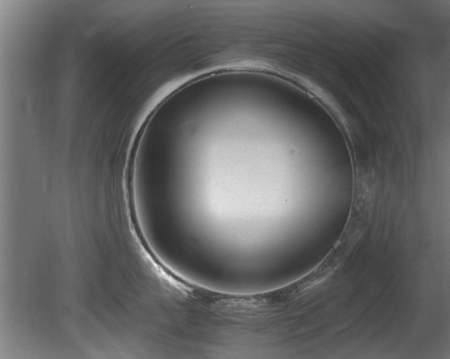 X0000081430959200701121258