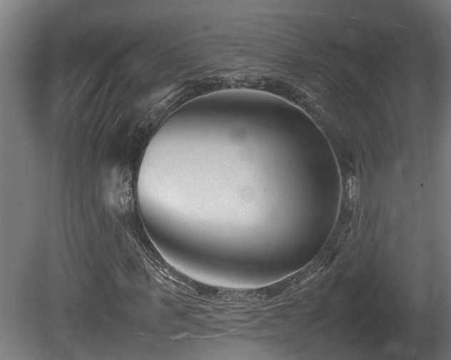 X0000081430963200701121258