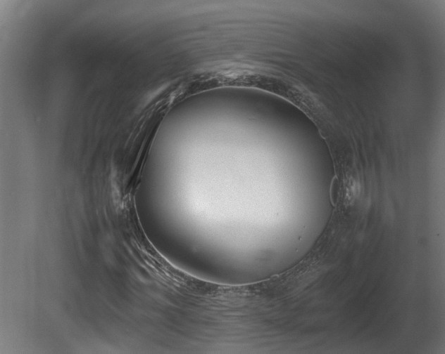 X0000081430964200701121258