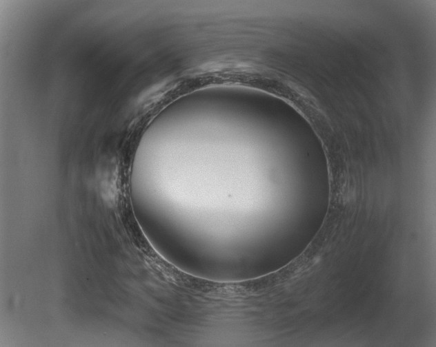 X0000081430966200701121258