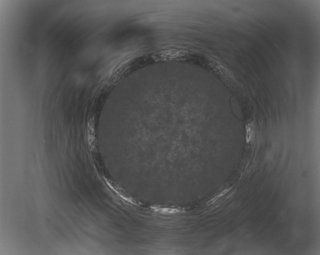 X0000081431011200701121256
