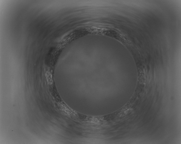 X0000081431013200701121256