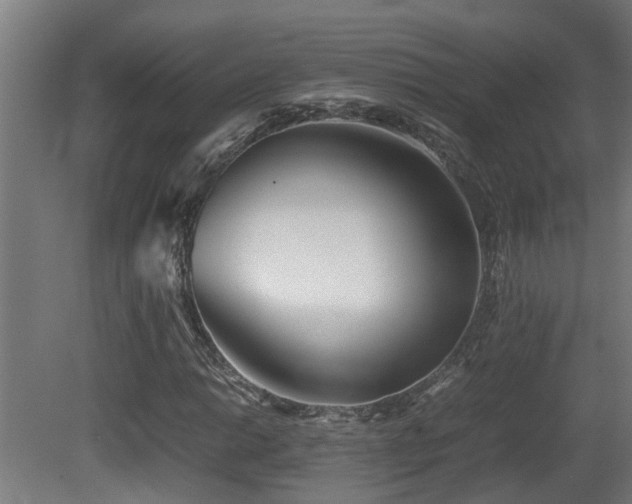 X0000081431014200701121256