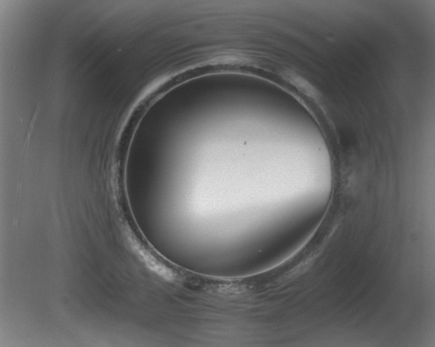 X0000081431029200701121256