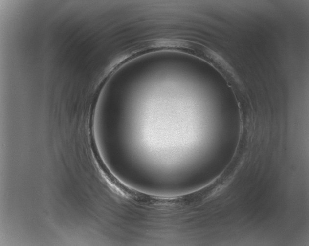 X0000081431033200701121256