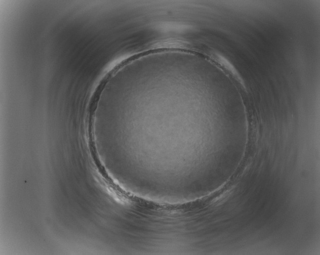 X0000081431035200701121257
