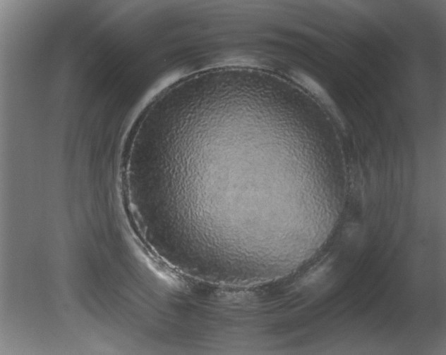 X0000081431043200701121257