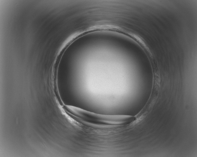 X0000081431046200701121257