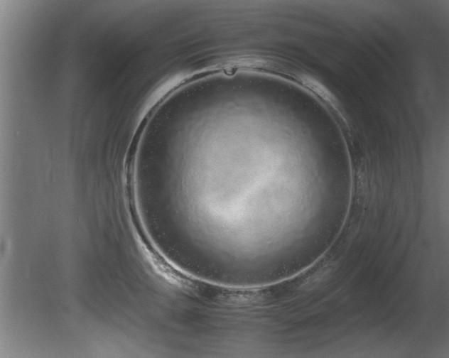X0000081431047200701121257