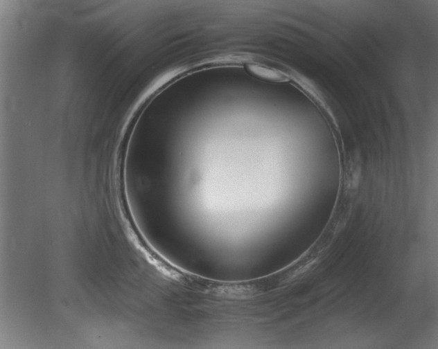 X0000081431053200701121257