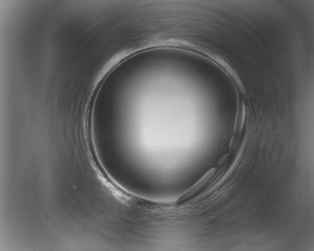 X0000081431054200701121257