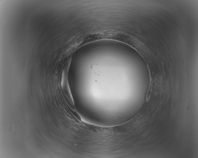 X0000081431058200701121256