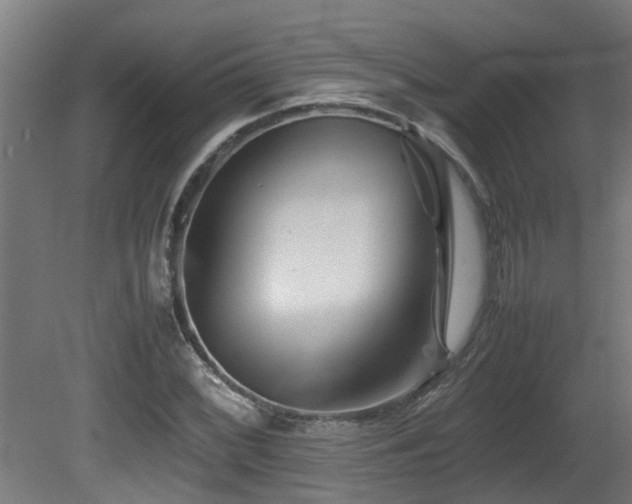 X0000081431068200701121256