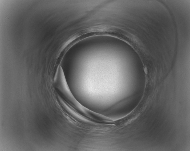 X0000081431073200701121256