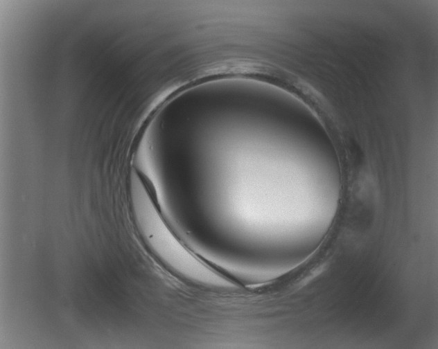 X0000081431081200701121256