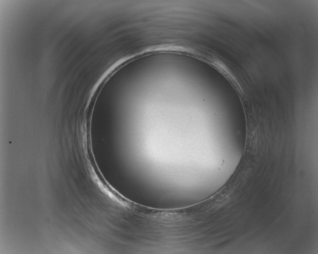 X0000081431092200701121255