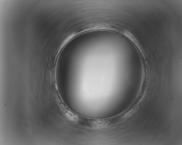 X0000081431097200701121255