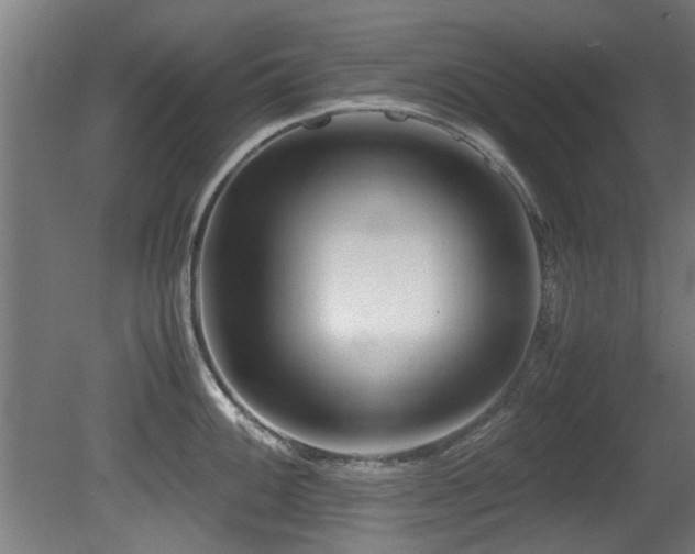 X0000081431100200701121255
