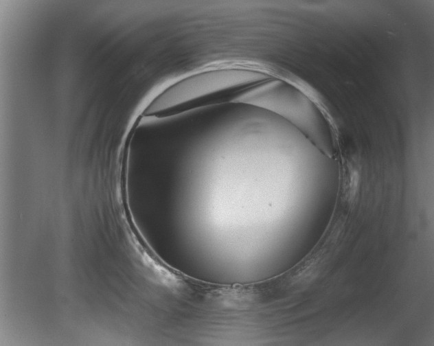 X0000081431102200701121255