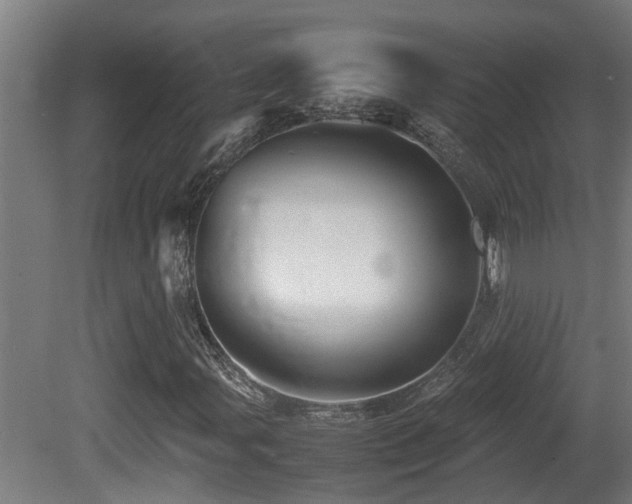 X0000081431107200701121254