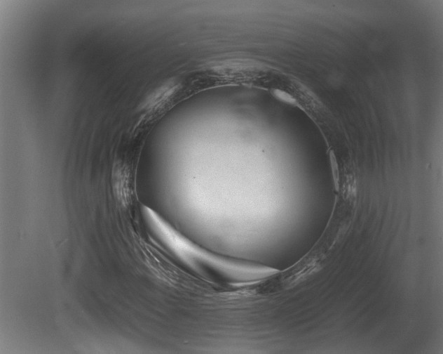 X0000081431108200701121254