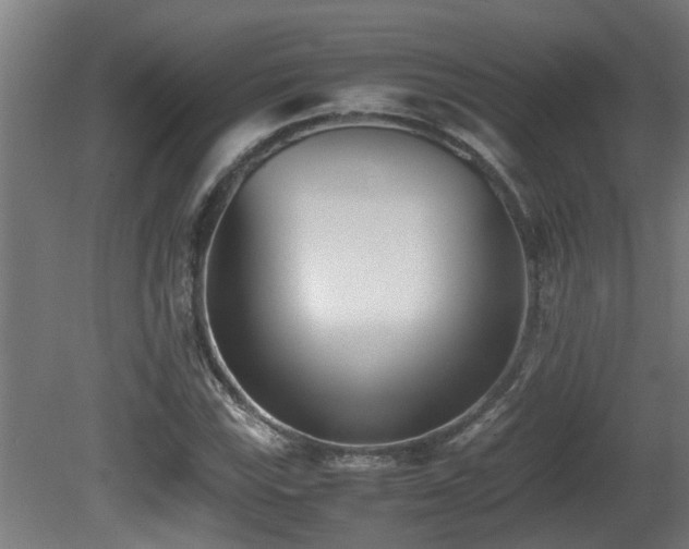 X0000081431115200701121255