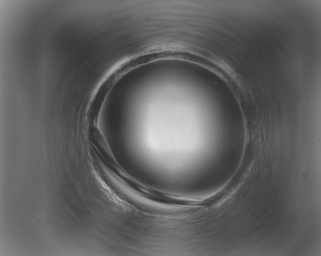 X0000081431118200701121255