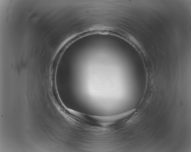 X0000081431124200701121255