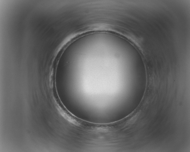 X0000081431126200701121255