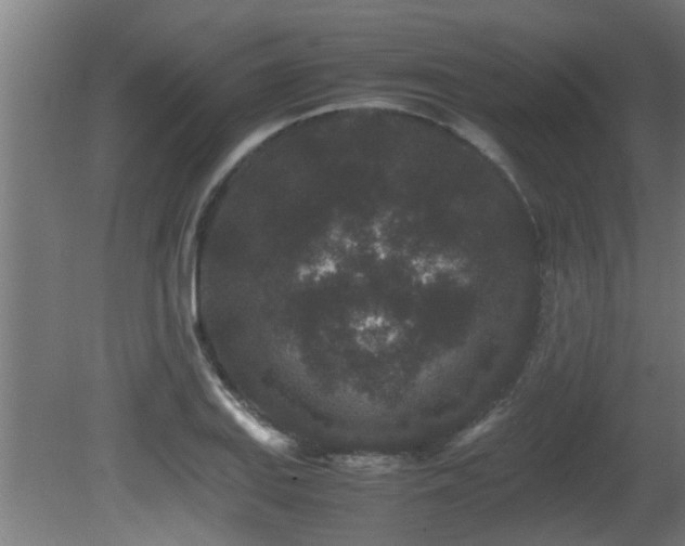 X0000081431127200701121255