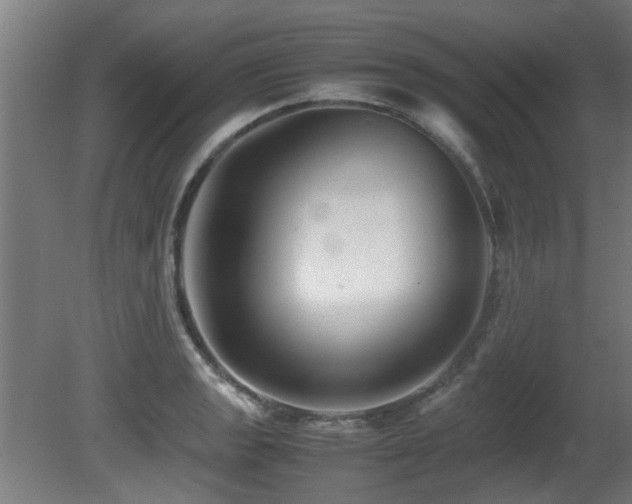 X0000081431133200701121255