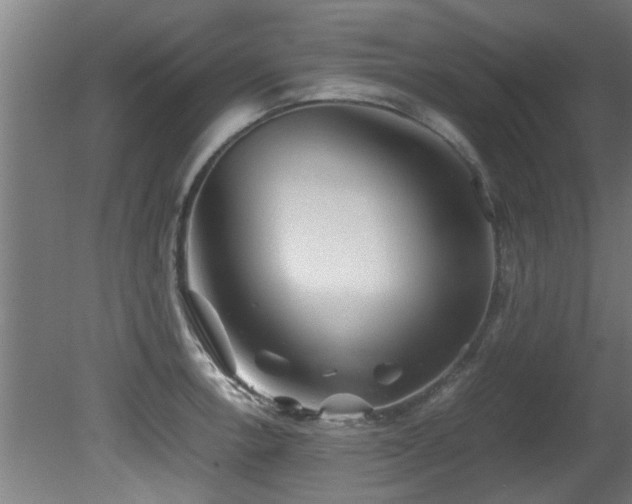X0000081431138200701121255