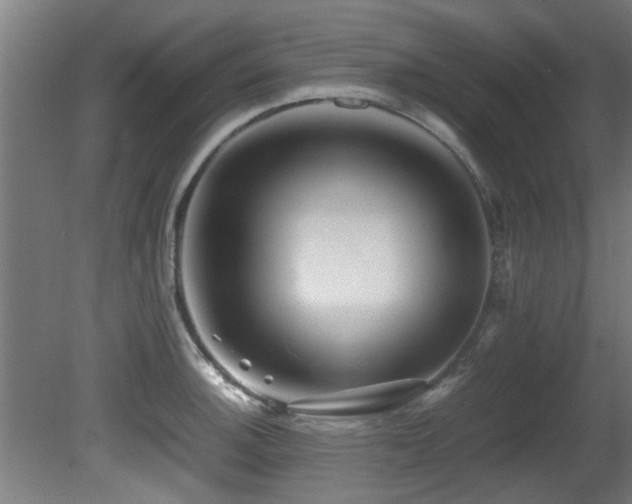 X0000081431140200701121255