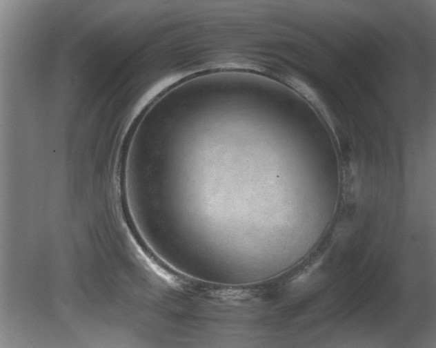 X0000081431141200701121255