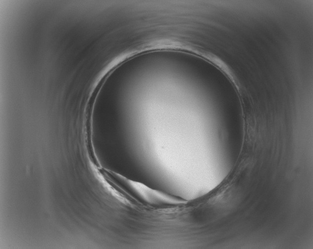X0000081431142200701121255