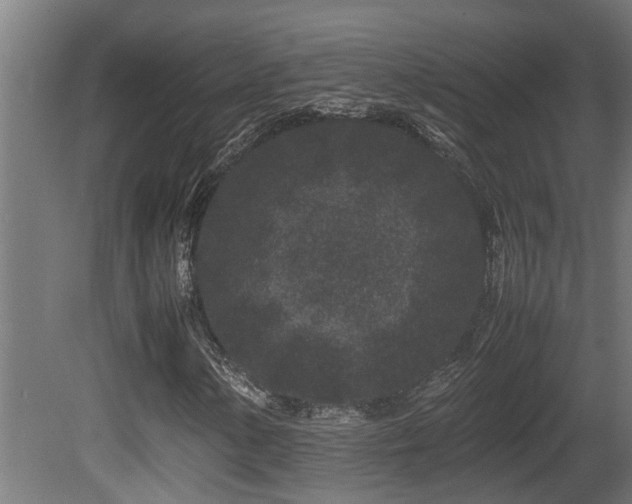 X0000081431154200701121254